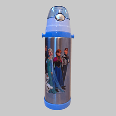 Frozen Stainless Steel Insulated Water Bottle 500ml