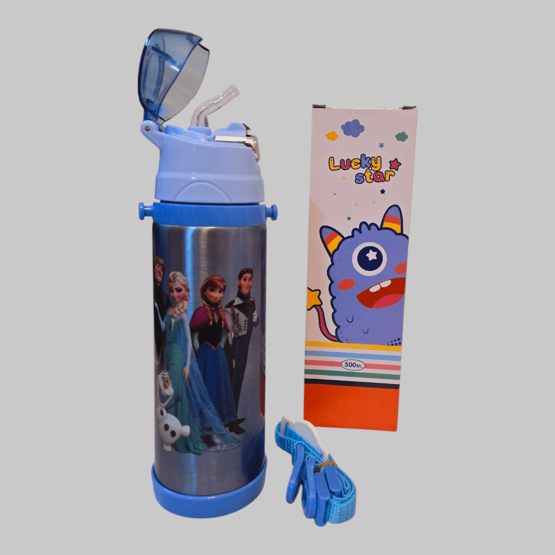 Frozen Stainless Steel Insulated Water Bottle 500ml
