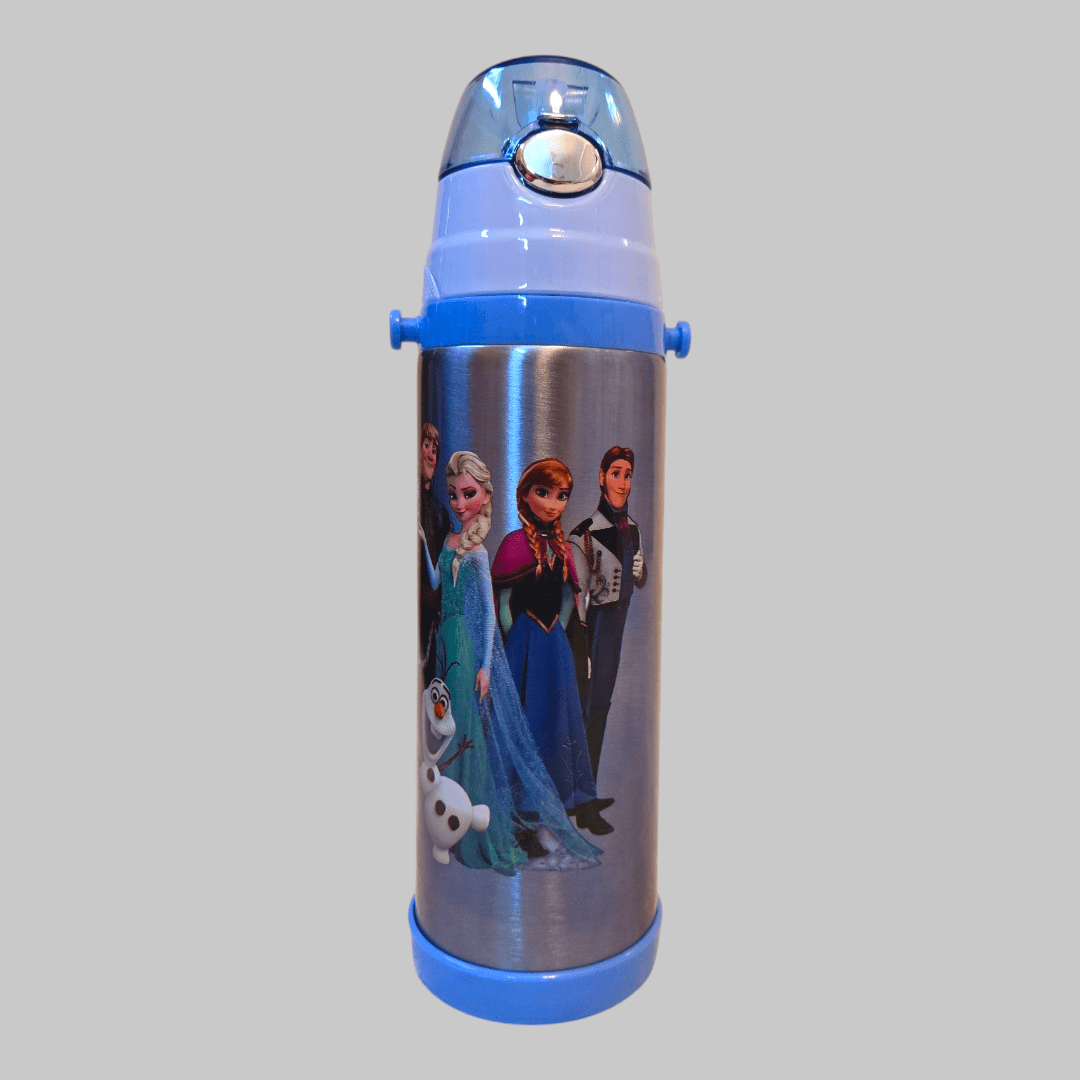 Frozen Stainless Steel Insulated Water Bottle 500ml