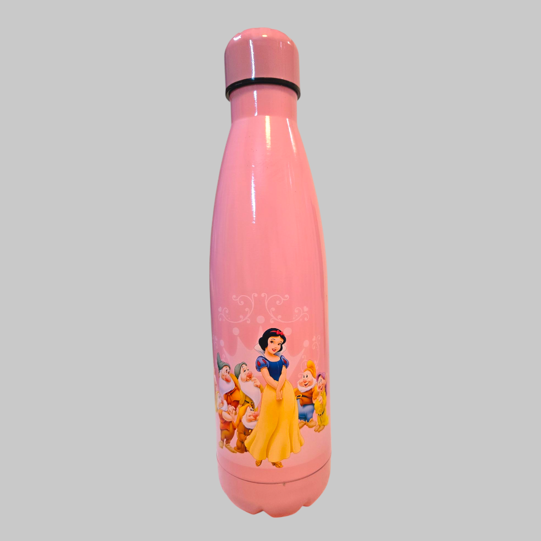 Princess Stainless Steel Insulated Water Bottle 500ml