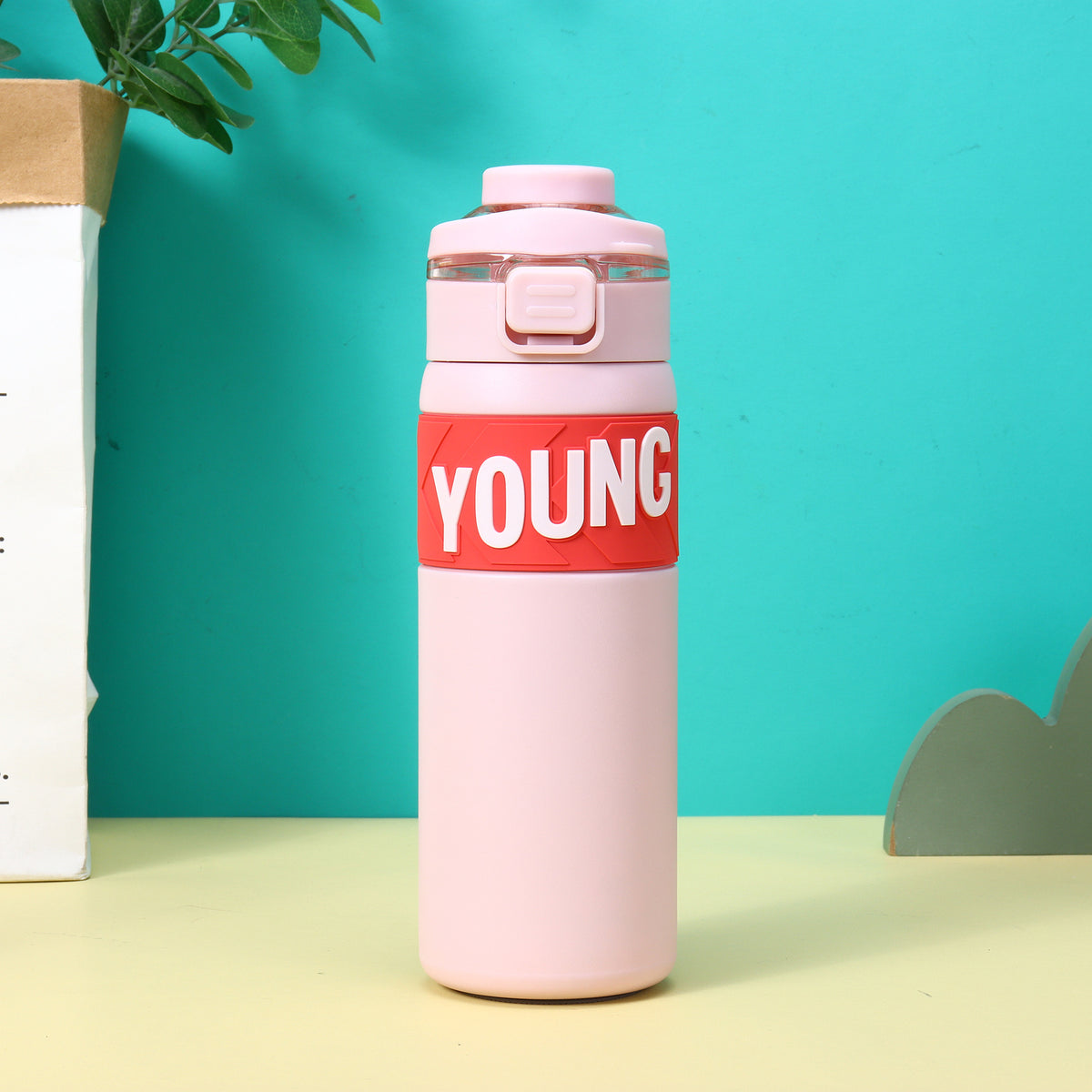 YoungInsulated Stainless Steel Water Bottle 650ml