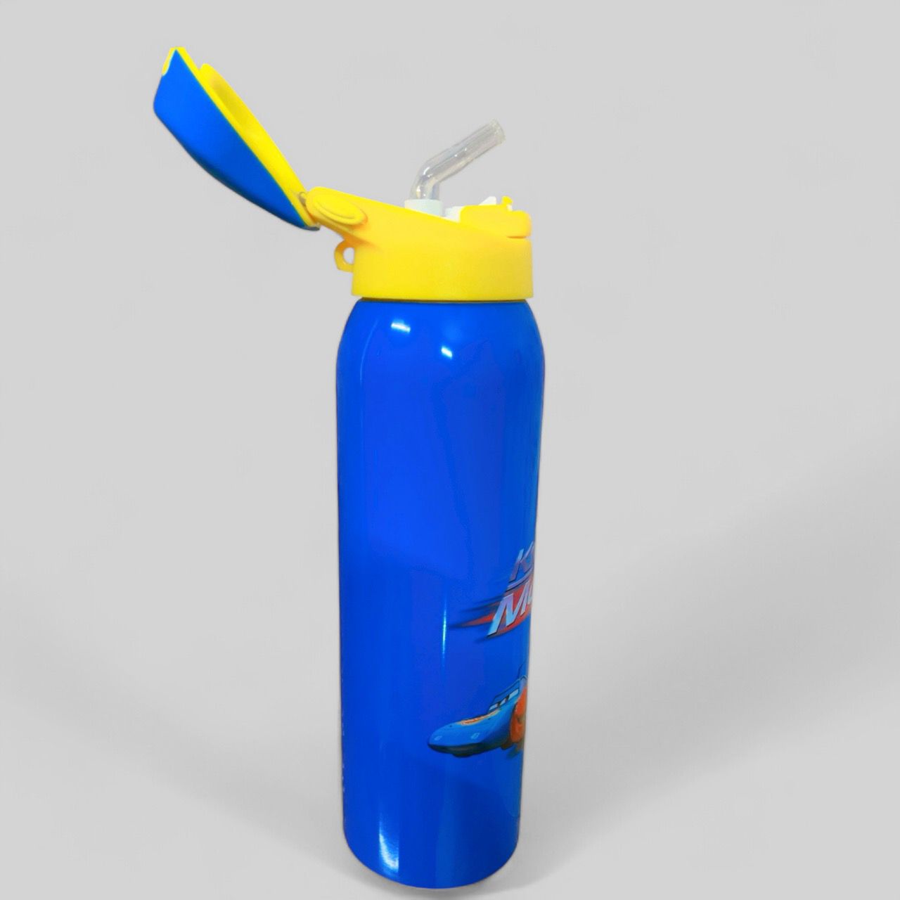 WATER BOTTLE STAINLESS STEEL | 500ML