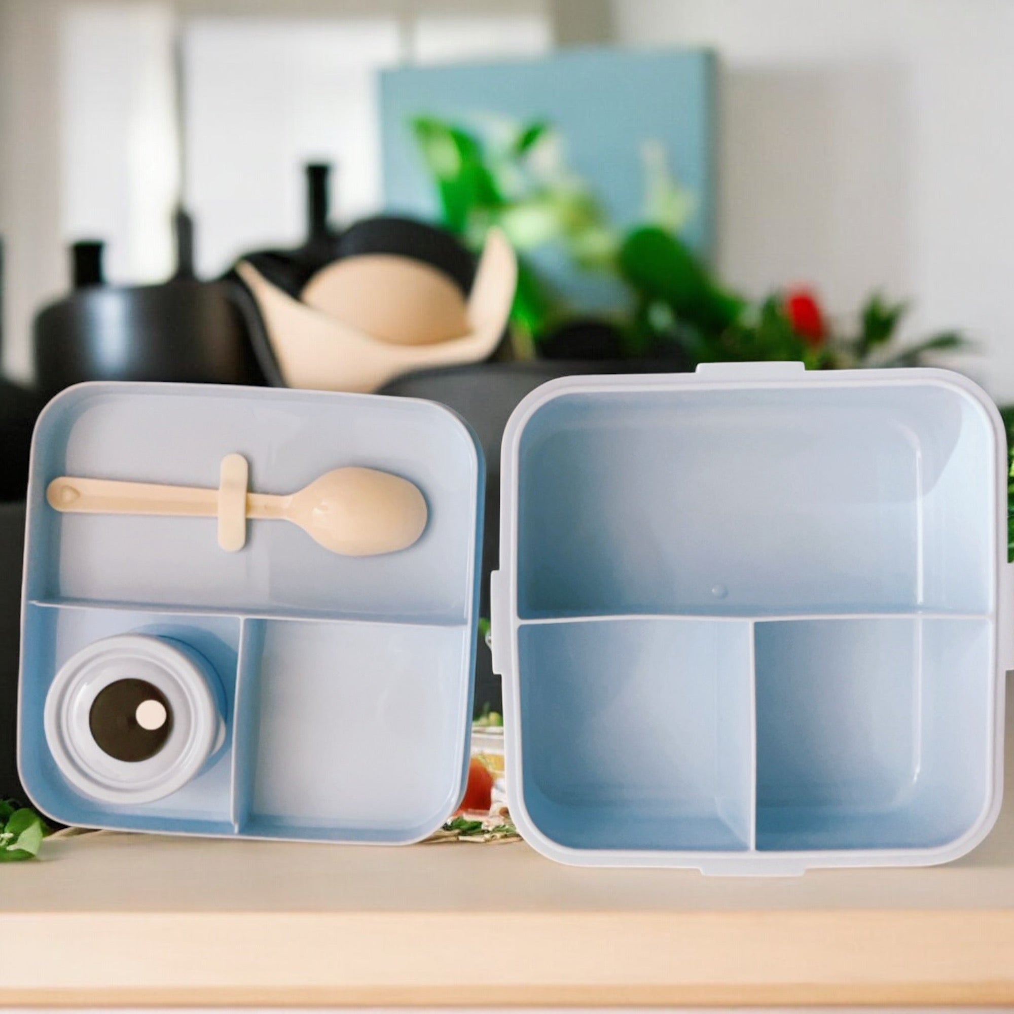 Dino Lunch Box