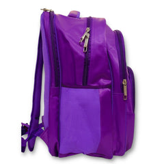 Frozen Princess School Bag For Grade 4 & 5