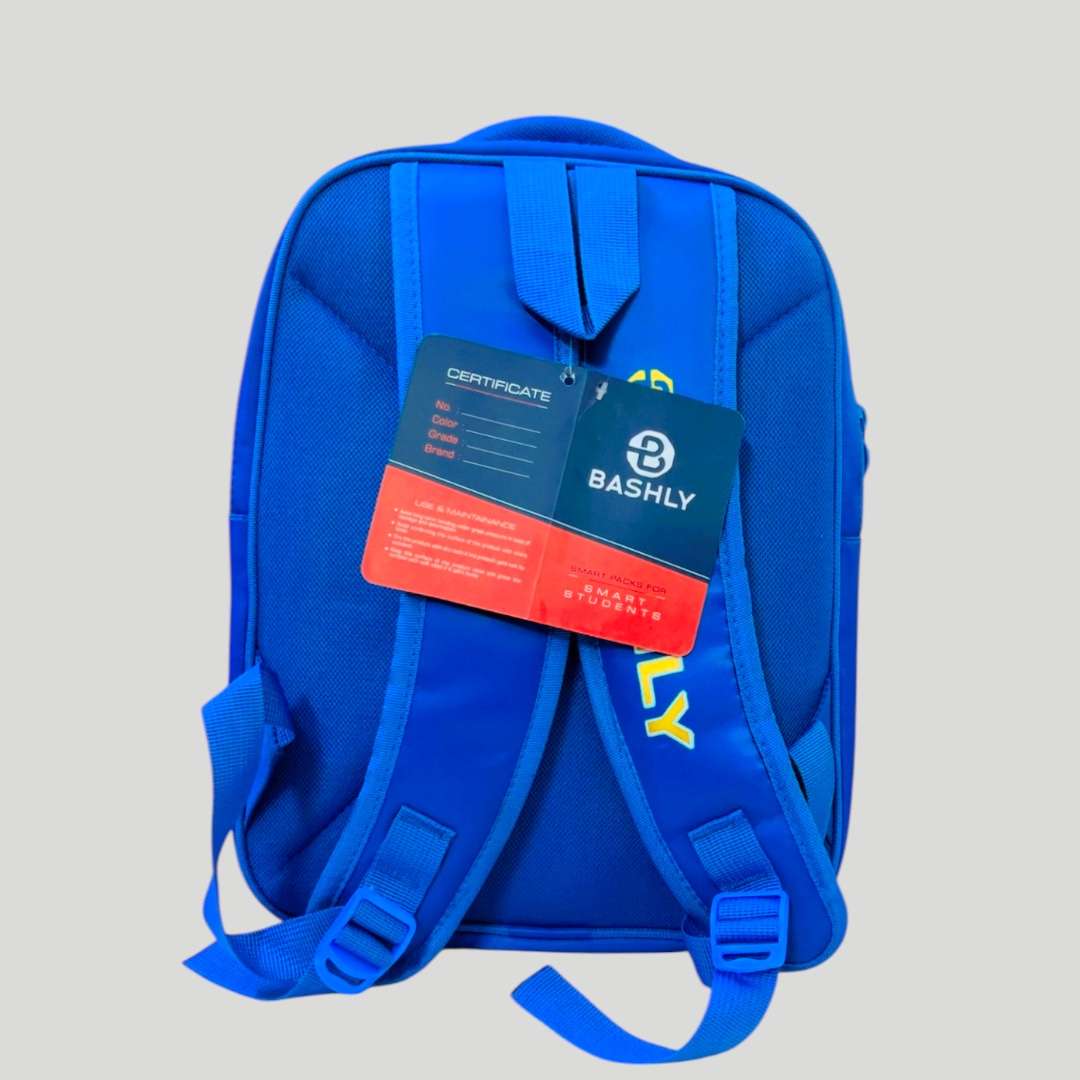 Elsa-Themed School Bag Set For Grade 1