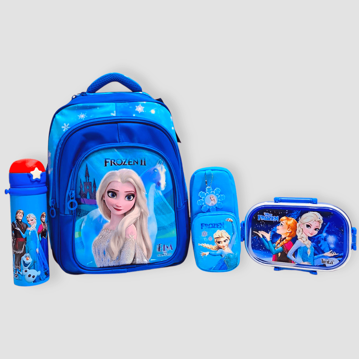 Elsa-Themed School Bag Set For Grade  1