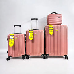 Pigeon Travel Suitcase Fibre