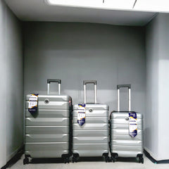Delseey Travel Suitcase Fibre Silver