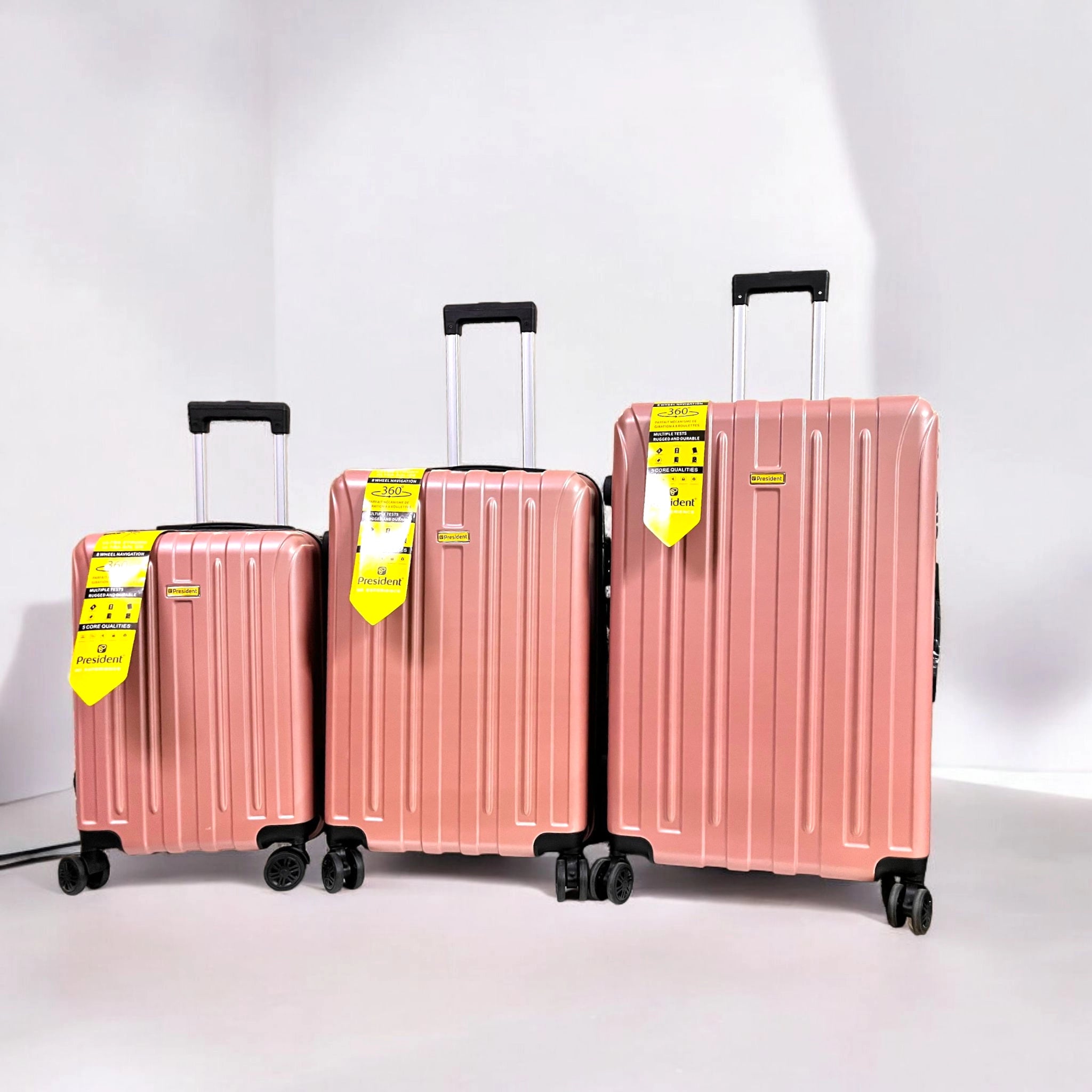 Pigeon Travel Suitcase Fibre