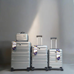 Delseey Travel Suitcase Fibre Silver