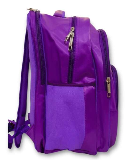 Frozen Princess School Bag For Grade 4 & 5