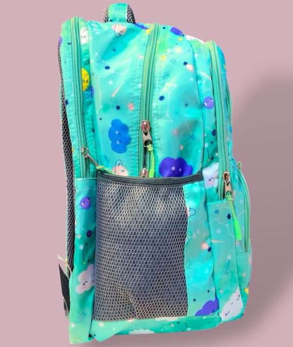 School Bag For Grade (6 to 12 )