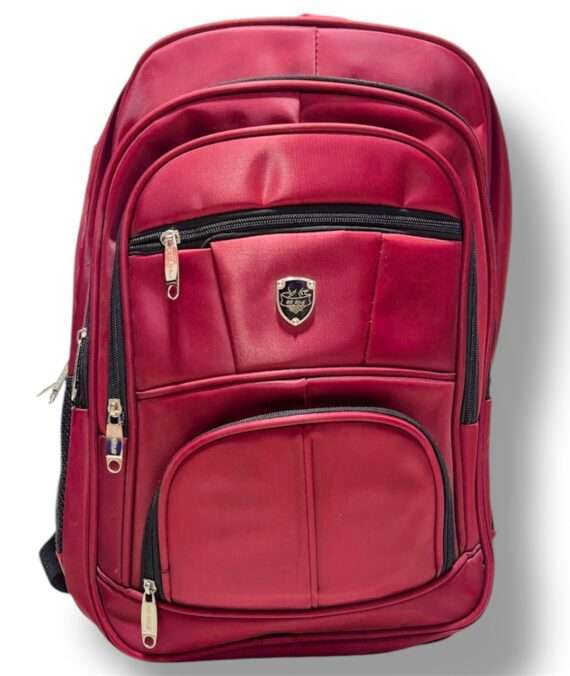 Laptop Bag D120