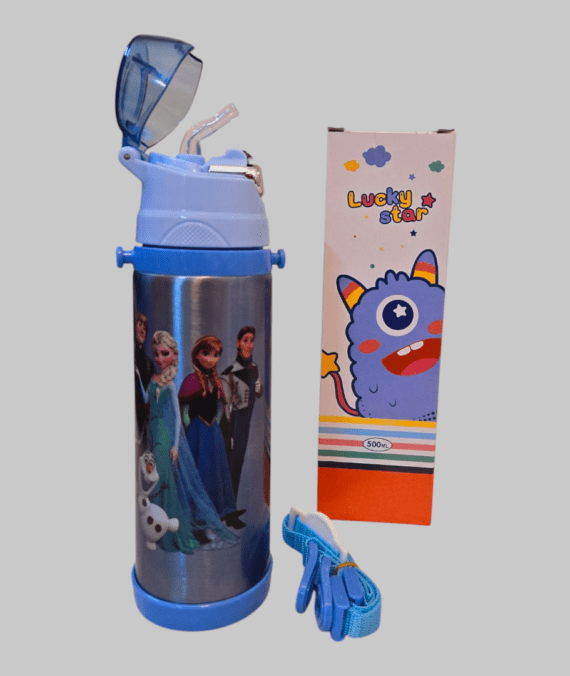 Frozen Stainless Steel Insulated Water Bottle 500ml