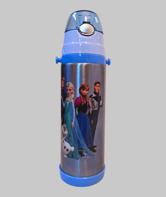 Frozen Stainless Steel Insulated Water Bottle 500ml
