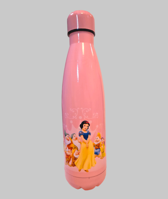 Princess Stainless Steel Insulated Water Bottle 500ml