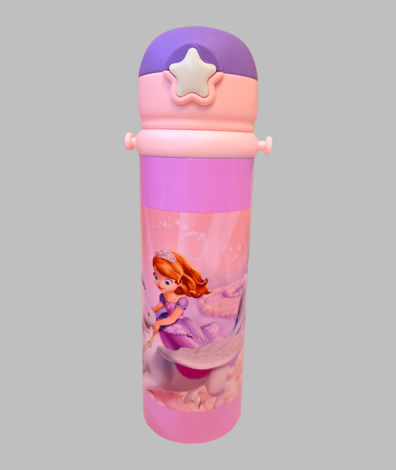 Sofia Stainless Steel Insulated Water Bottle 500ml