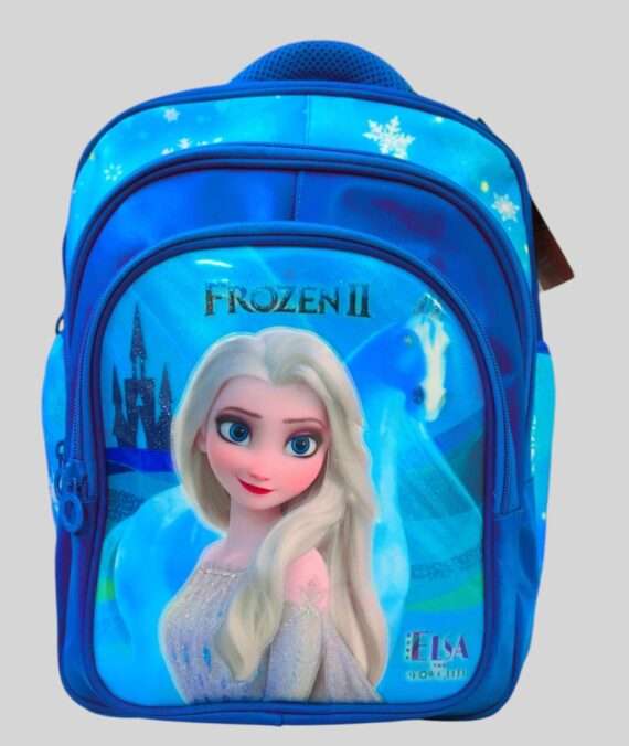 Elsa-Themed School Bag Set For Grade  1