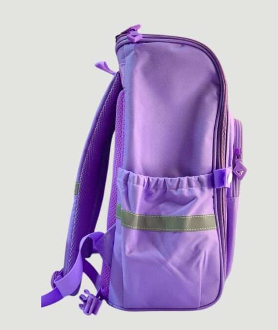 Frozen 3D School Bag For Grade 1 & 2