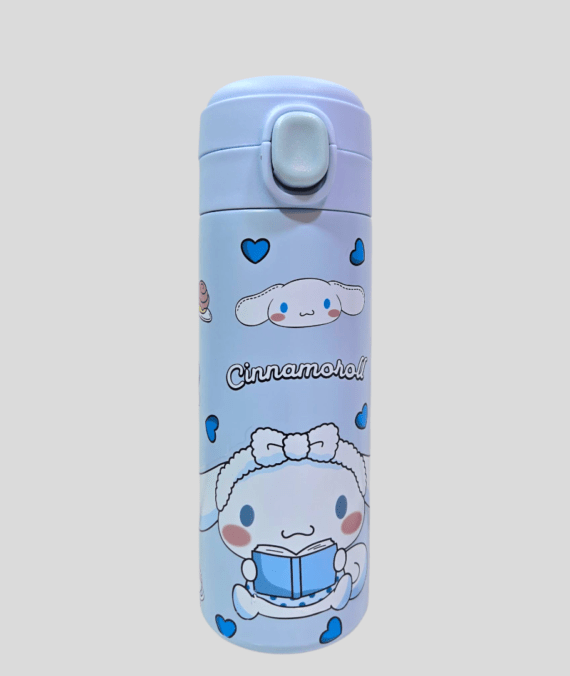 Stainless Steel Water Bottle – 500ml for Kids & School Use